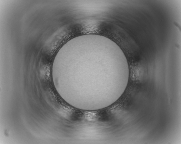 X0000103960701200810171902