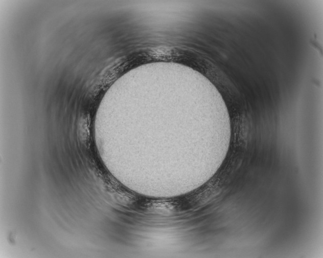 X0000103960702200810171902