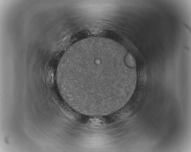 X0000103960703200810171902