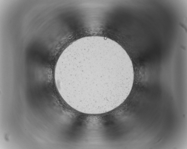 X0000103960704200810171902