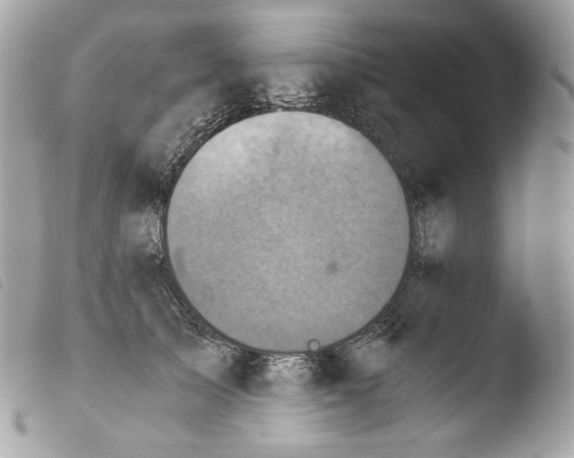 X0000103960705200810171902