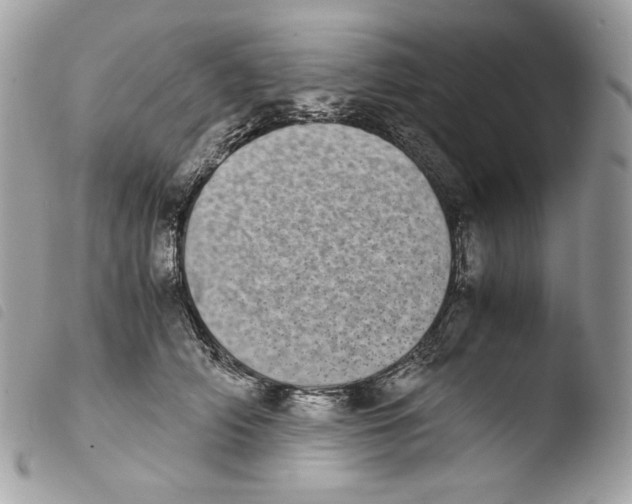 X0000103960706200810171902