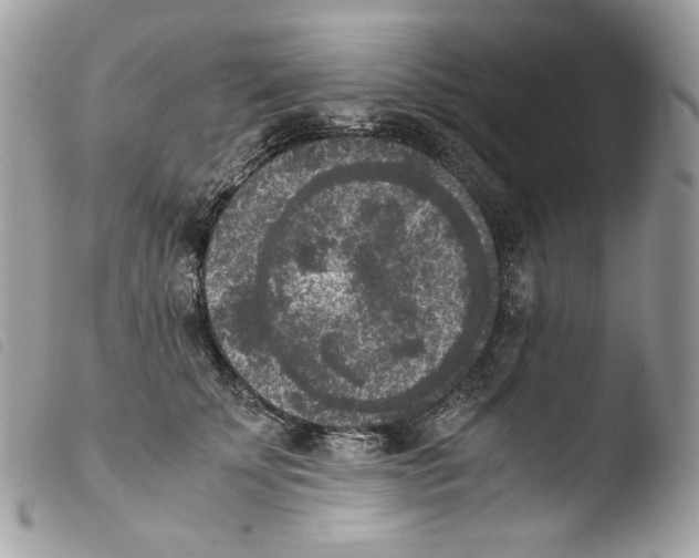 X0000103960707200810171902