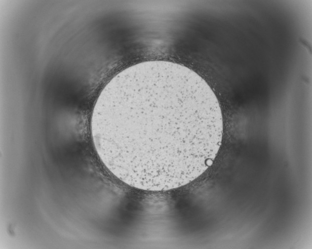 X0000103960708200810171902