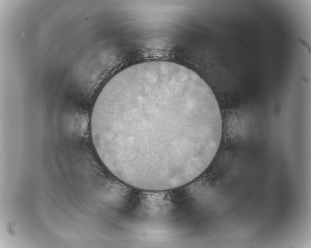 X0000103960709200810171902