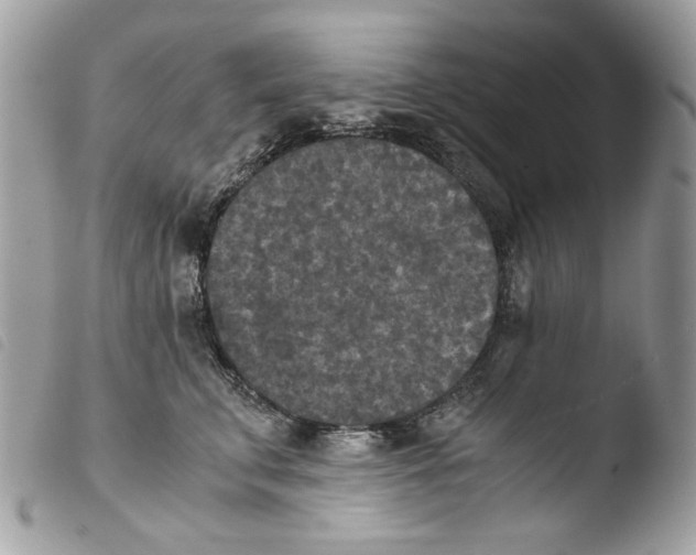 X0000103960711200810171902