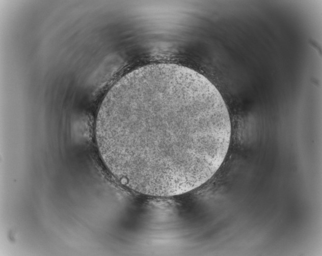 X0000103960712200810171902