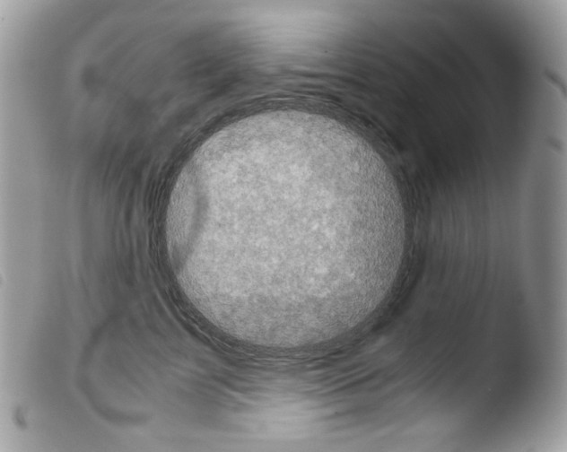 X0000103960713200810171902