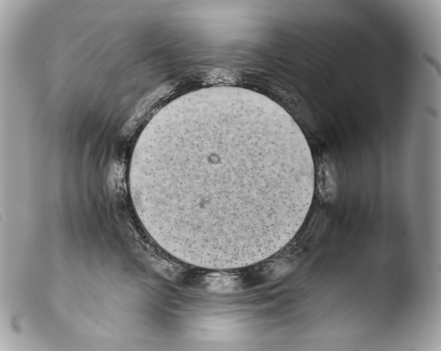 X0000103960714200810171902