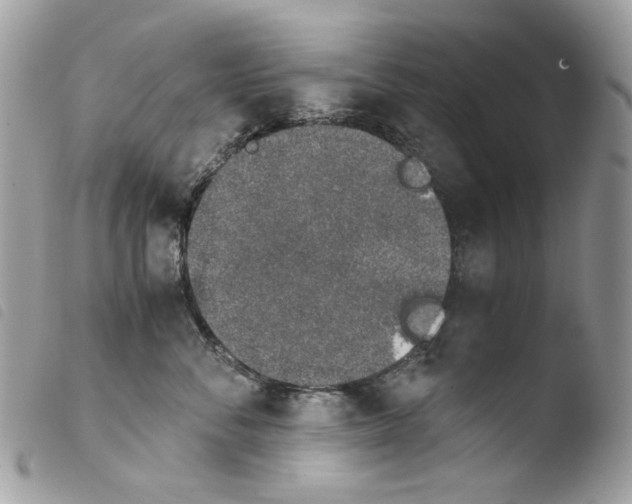 X0000103960716200810171902