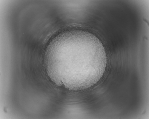 X0000103960717200810171902