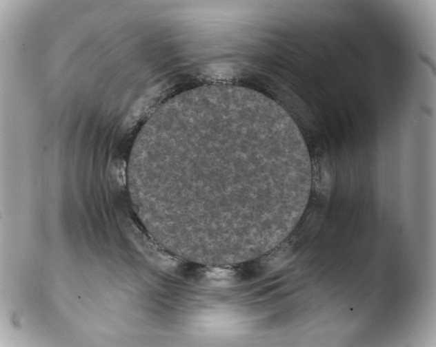 X0000103960718200810171902