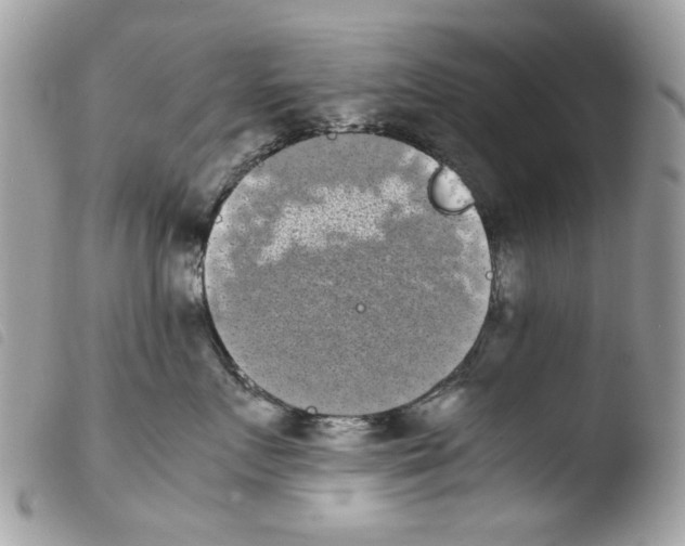 X0000103960719200810171902