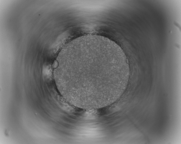 X0000103960720200810171902