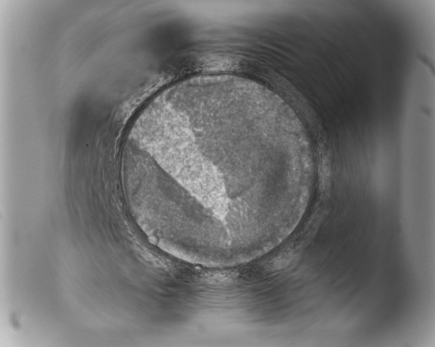 X0000103960721200810171901