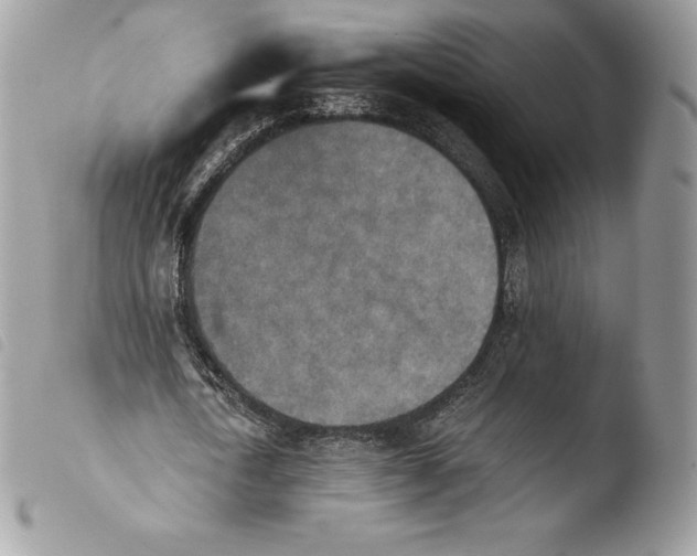 X0000103960722200810171901