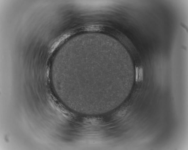 X0000103960723200810171901