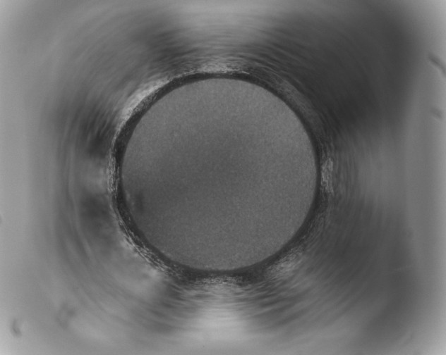 X0000103960724200810171901