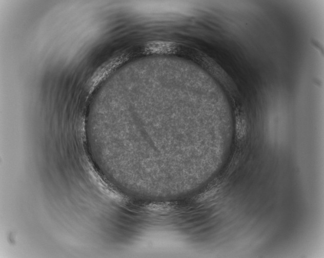 X0000103960725200810171901