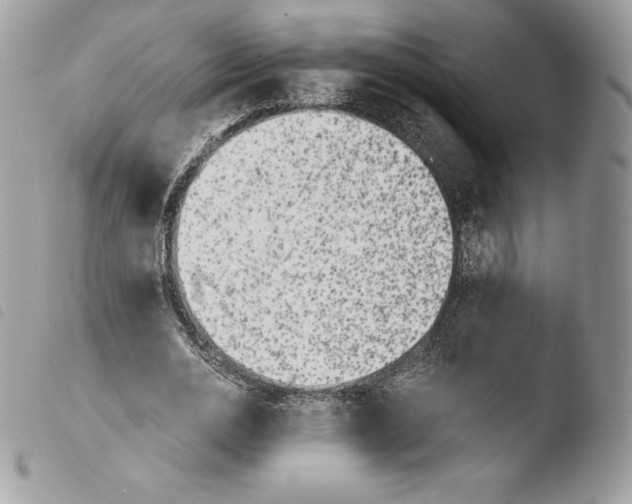 X0000103960726200810171901