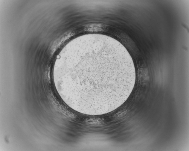 X0000103960727200810171901