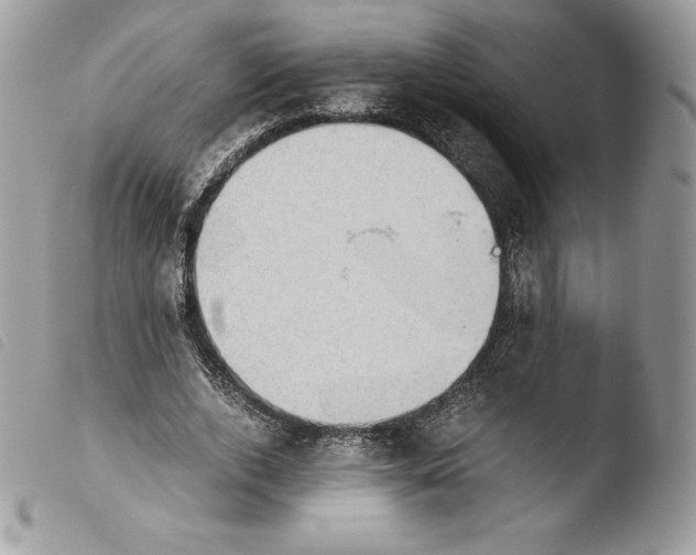 X0000103960728200810171901