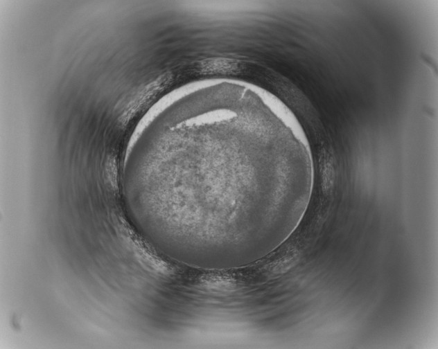 X0000103960729200810171901