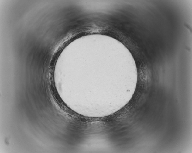 X0000103960730200810171901