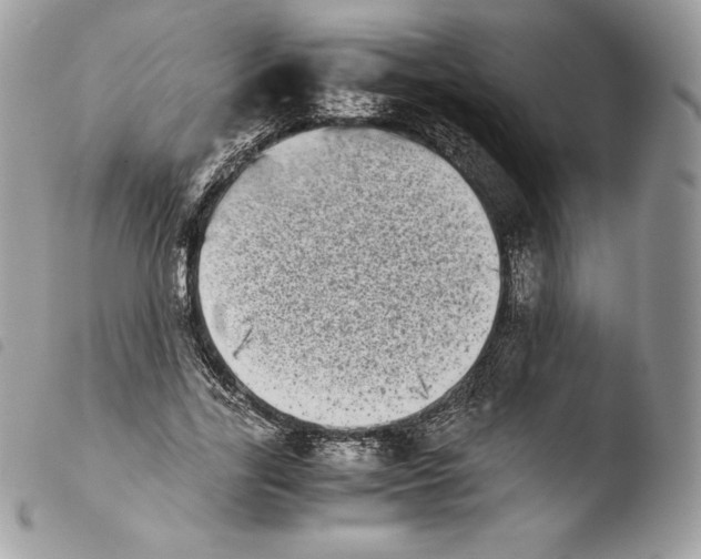 X0000103960731200810171901