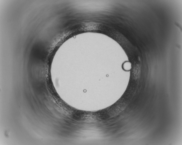 X0000103960732200810171901