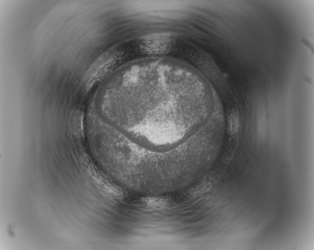 X0000103960733200810171901