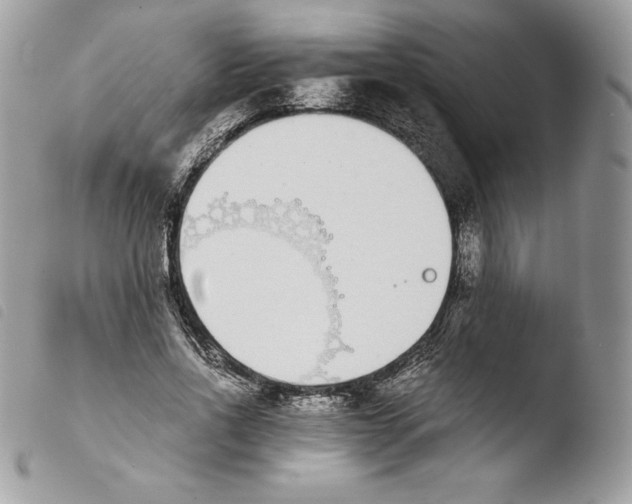 X0000103960734200810171901