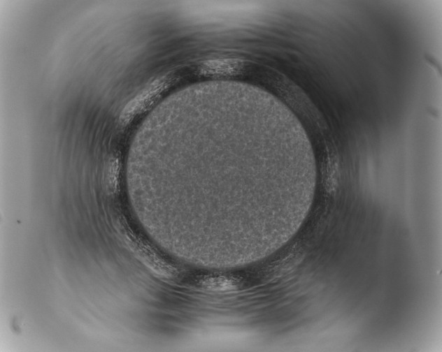 X0000103960735200810171901