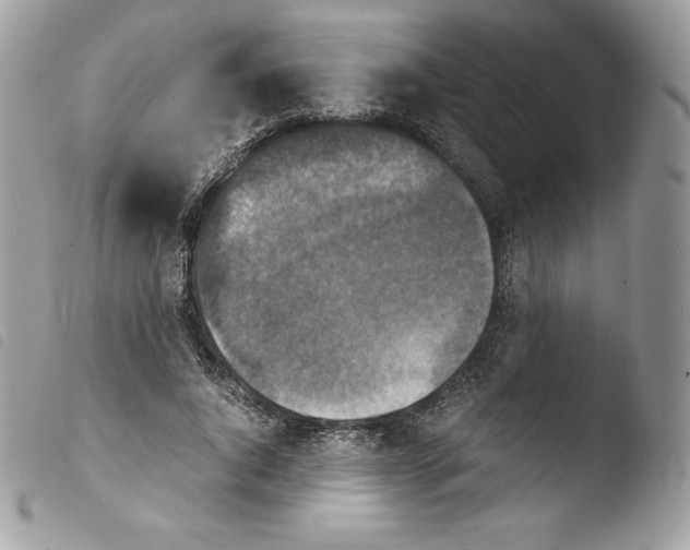 X0000103960736200810171901