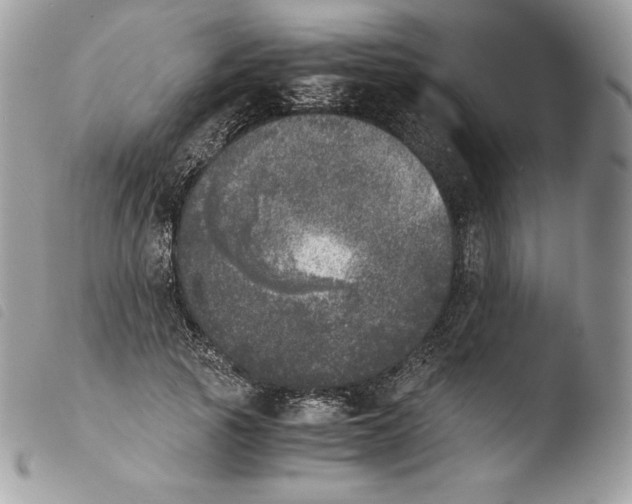 X0000103960737200810171901