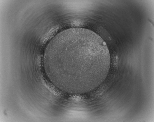 X0000103960738200810171901