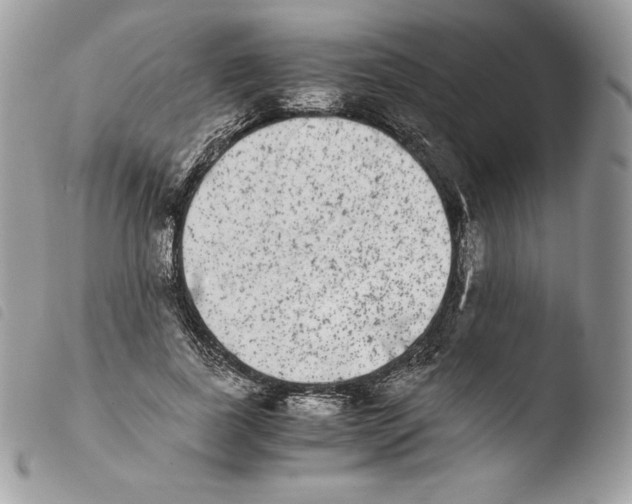 X0000103960739200810171901