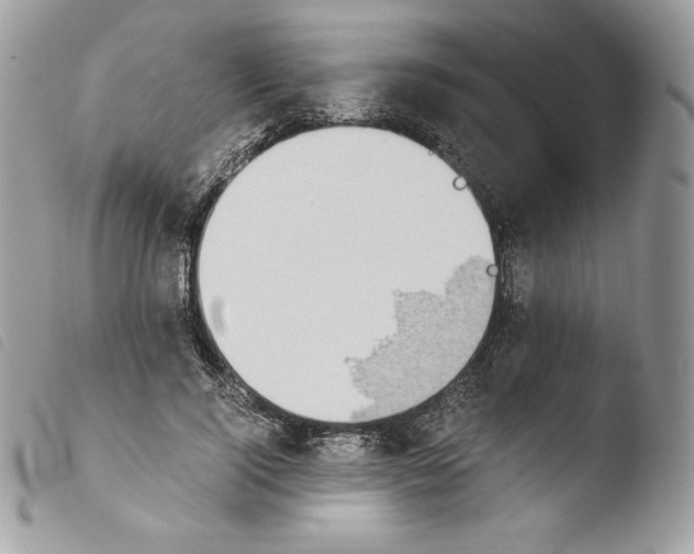 X0000103960740200810171901