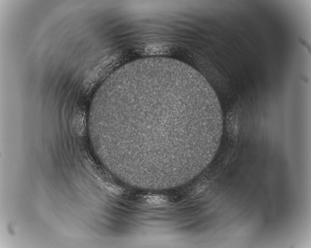 X0000103960741200810171901