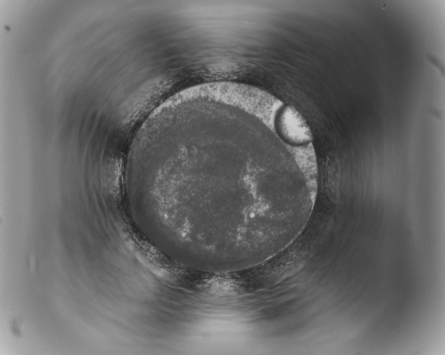 X0000103960742200810171901