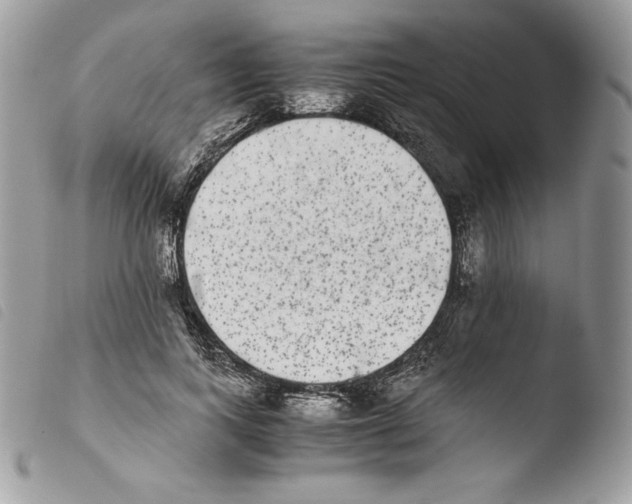 X0000103960743200810171901