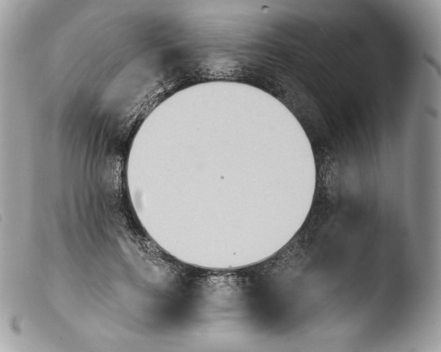 X0000103960744200810171901