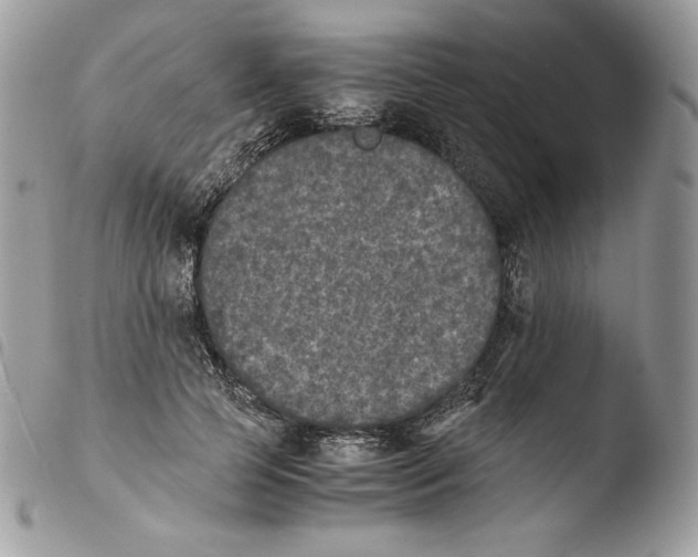 X0000103960745200810171901