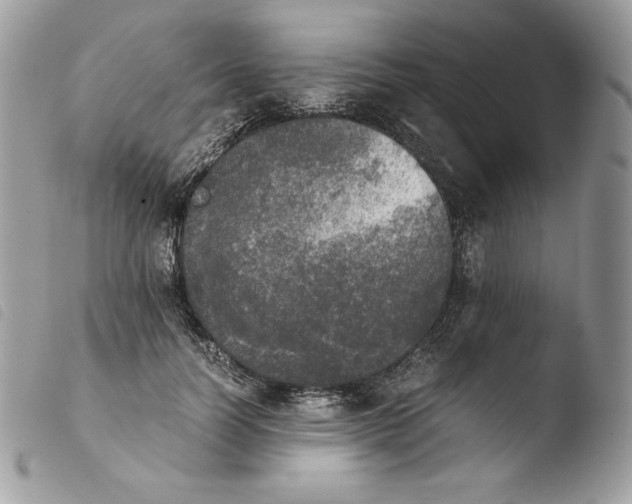 X0000103960746200810171901