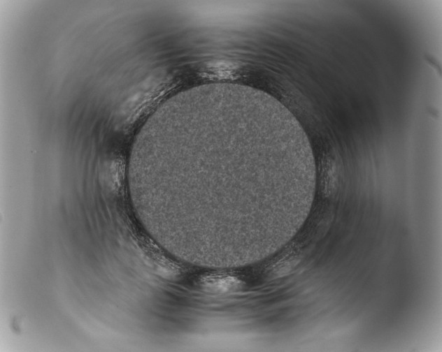 X0000103960747200810171901