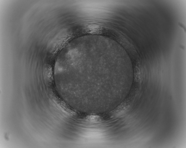 X0000103960748200810171901