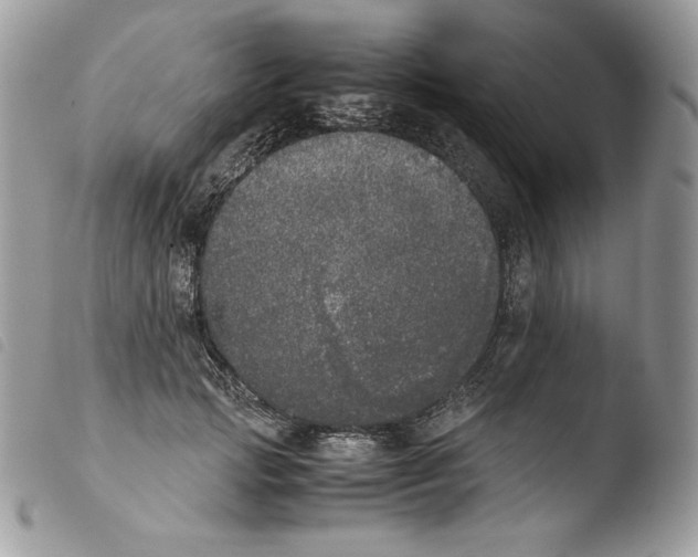 X0000103960749200810171901