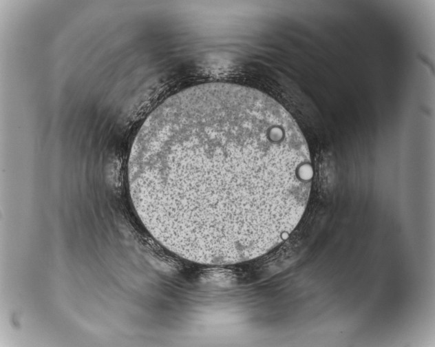 X0000103960750200810171902