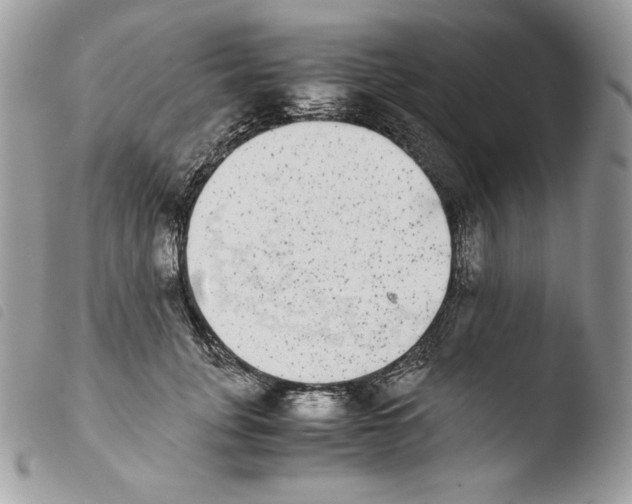 X0000103960751200810171902