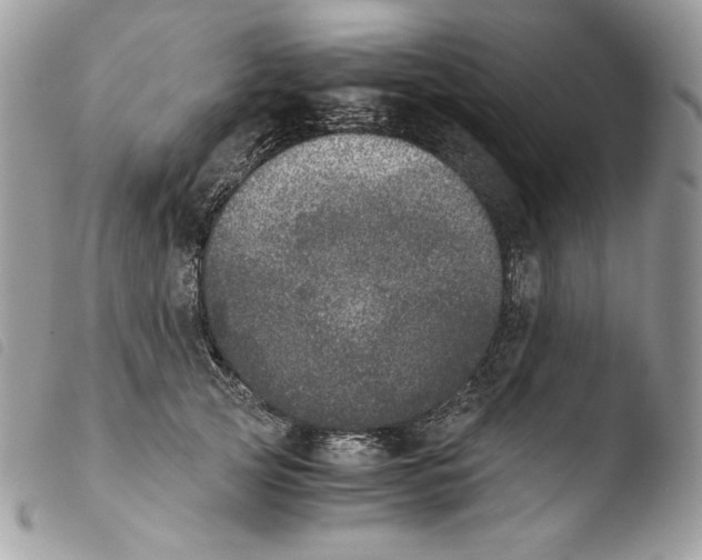 X0000103960753200810171902